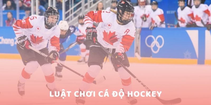  cá độ Hockey